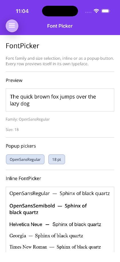 A live preview label above the FontPickerButton and FontSizePickerButton