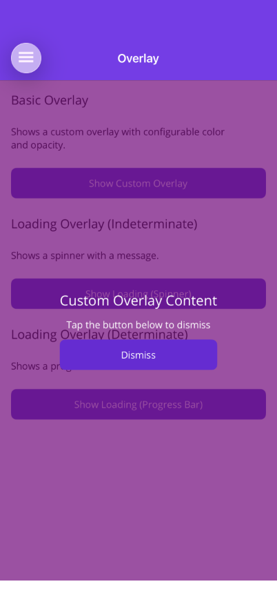 Custom Overlay